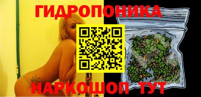 прущие крисы Кунгур
