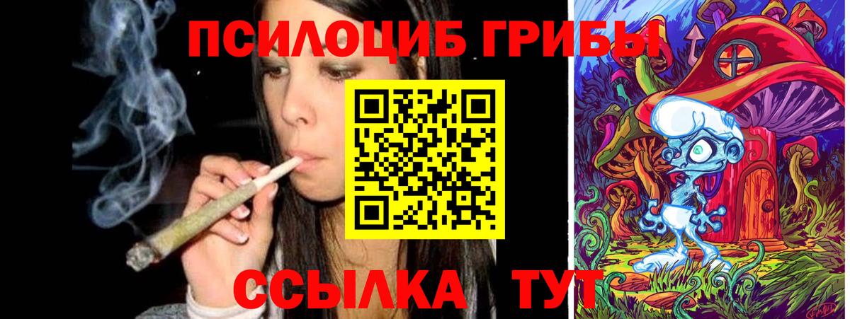 Псилоцибиновые грибы прущие грибы  Вход с VPN  Псилоцибиновые грибы мухоморы  закладка  Янаул 